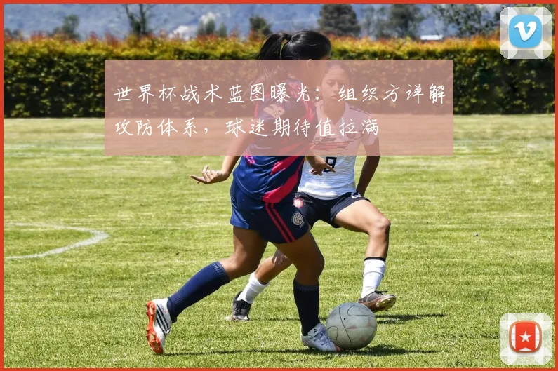 世界杯战术蓝图曝光：组织方详解攻防体系，球迷期待值拉满