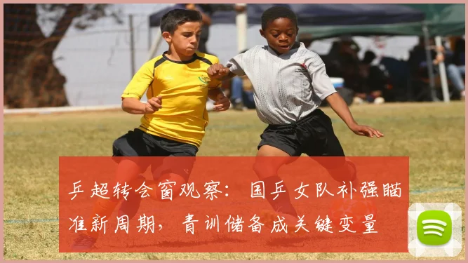 乒超转会窗观察：国乒女队补强瞄准新周期，青训储备成关键变量