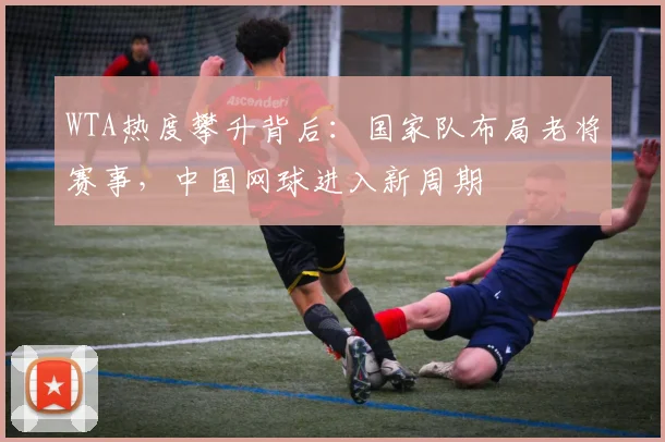 WTA热度攀升背后：国家队布局老将赛事，中国网球进入新周期