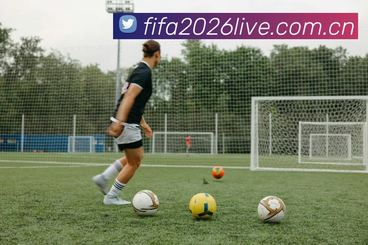 2026世界杯 品牌故事