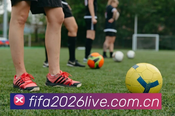2026世界杯 多终端观赛